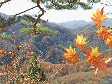 数据洞察 第4页